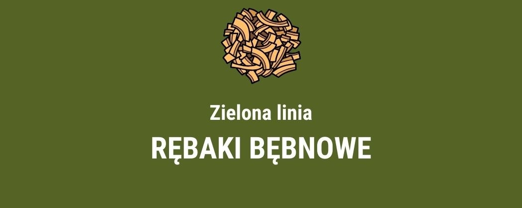 Pezzolato - Rębaki bębnowe