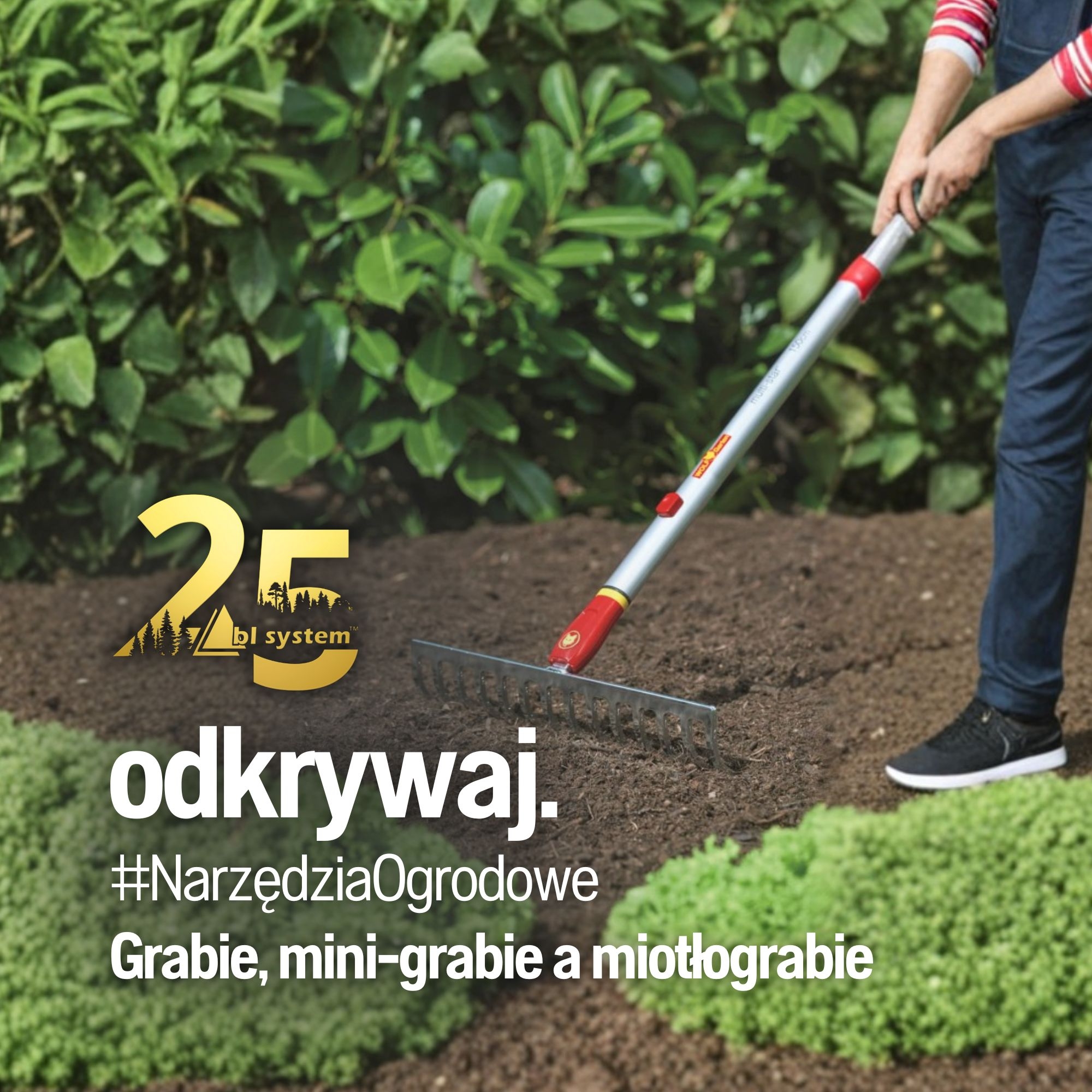 Grabie, mini-grabie a miotłograbie - rodzaje i zastosowanie