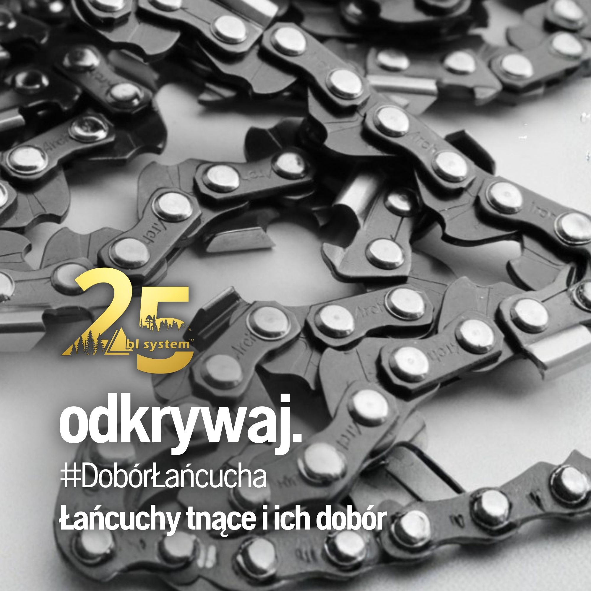 Łańcuchy tnące i ich dobór – praktycznie, po leśnemu