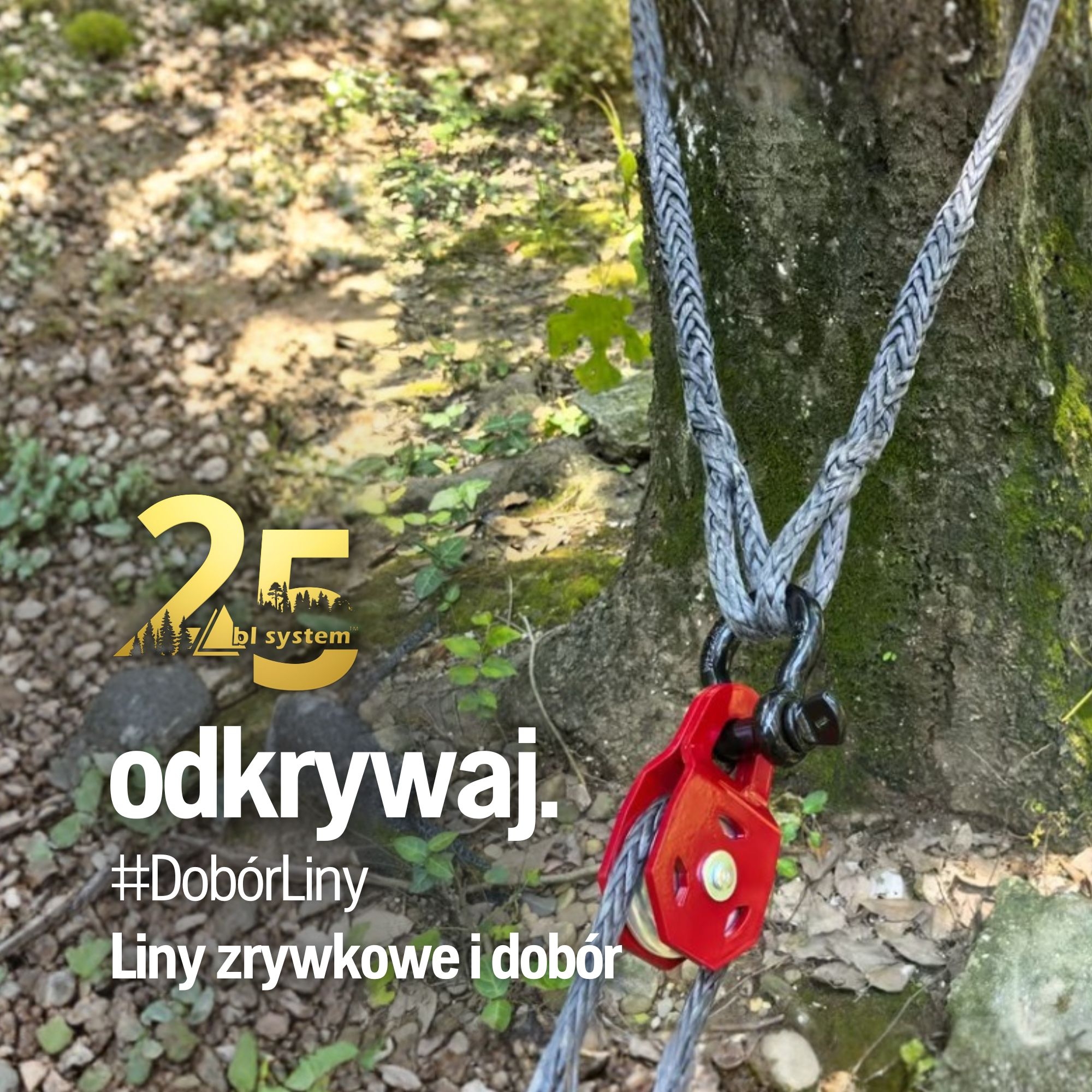 Liny zrywkowe i dobór – praktyczny przewodnik dla użytkowników wyciągarek leśnych