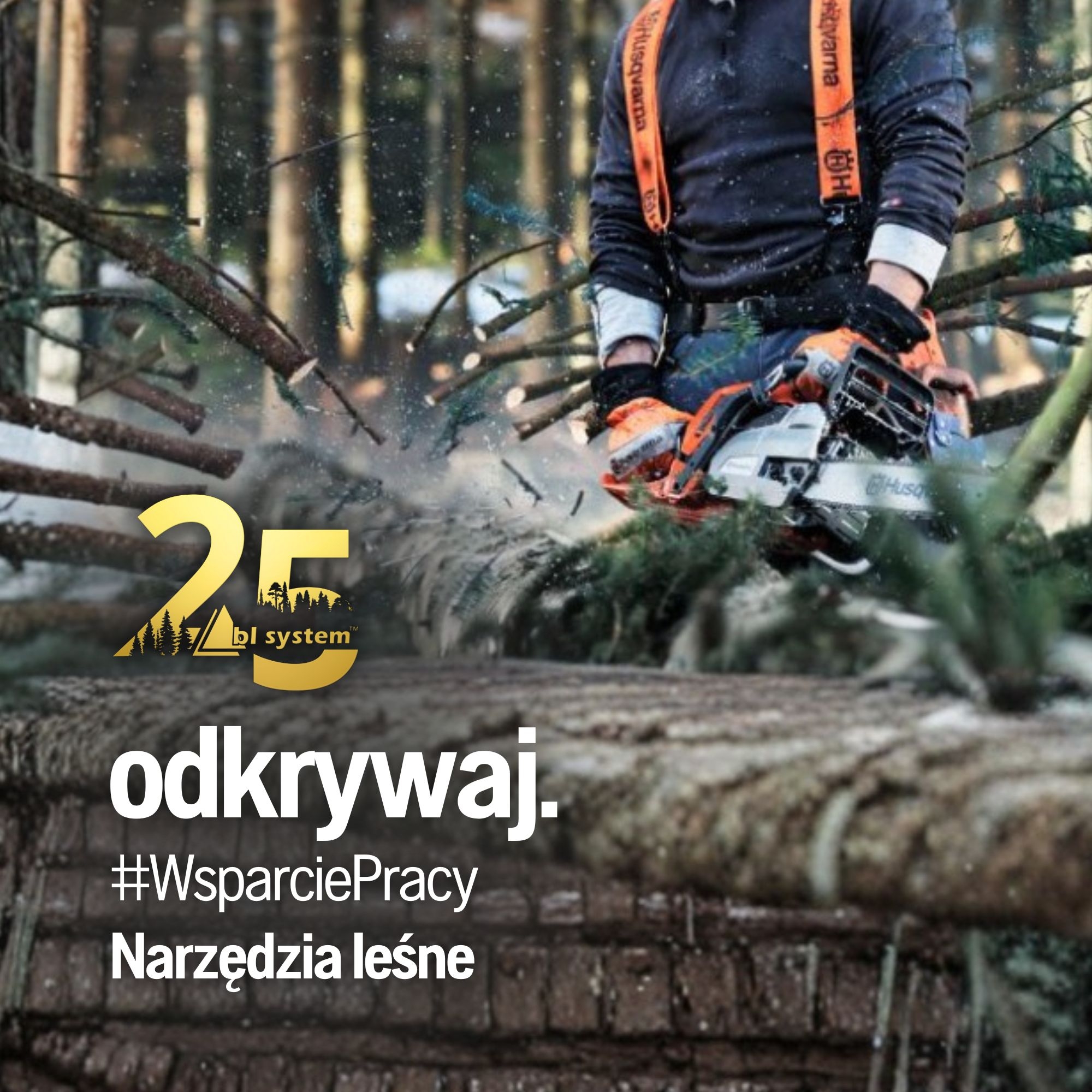 Dodatkowe narzędzia leśne w BL-System – praktyczne wsparcie w codziennej pracy