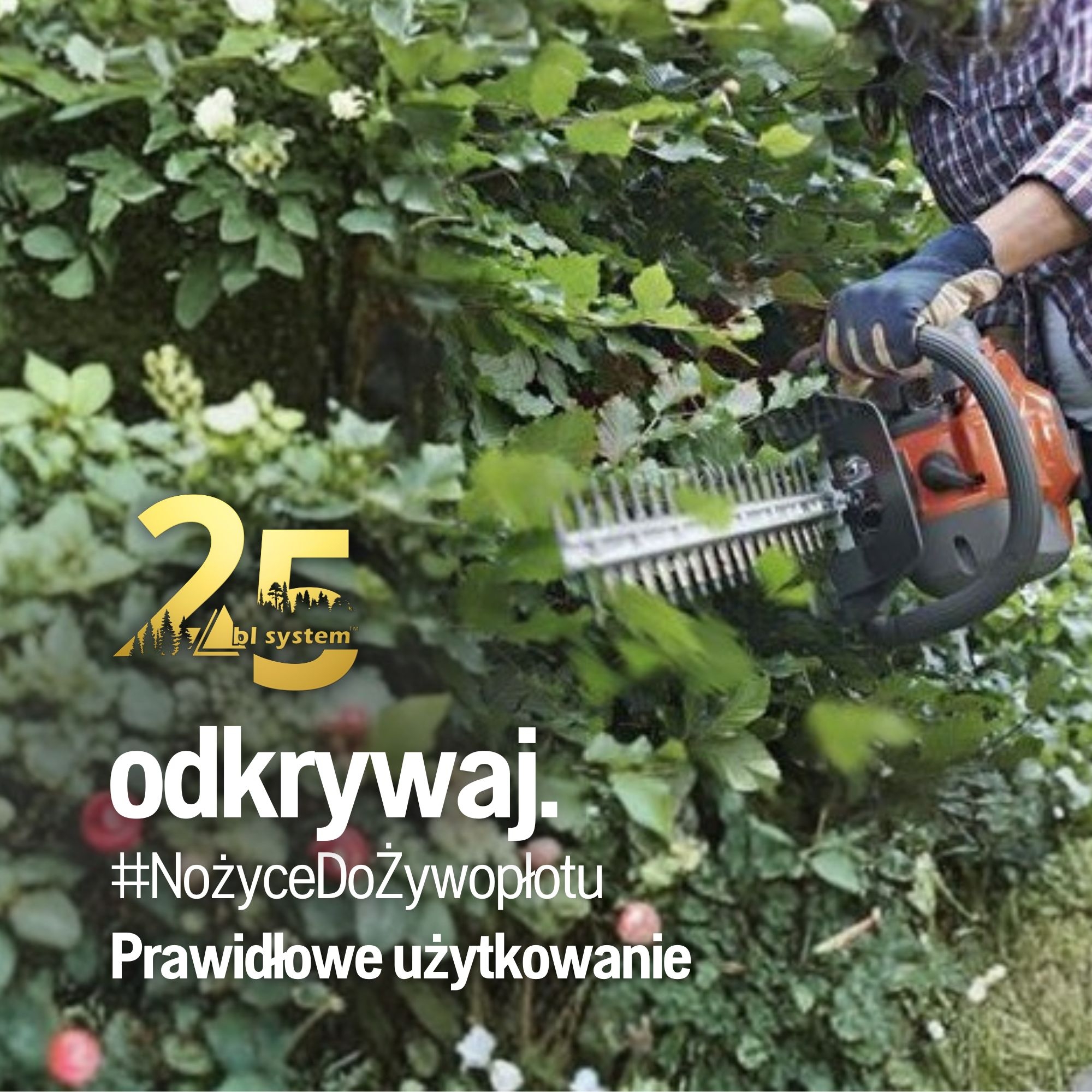 Prawidłowe korzystanie z nożyc do żywopłotu – zasady bezpiecznej i efektywnej pracy