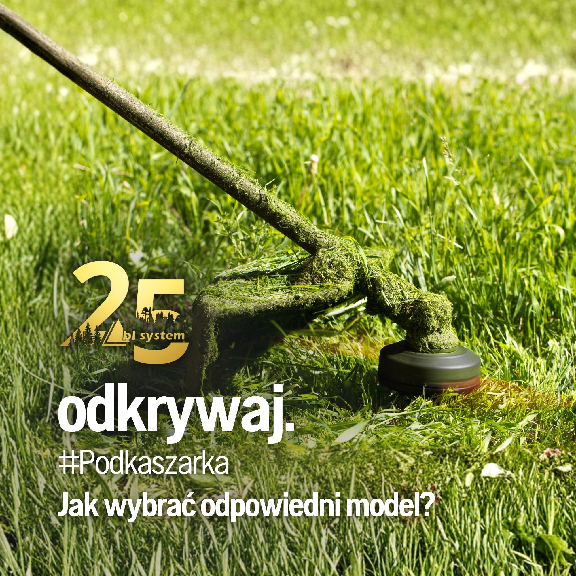 Podkaszarka – jak wybrać odpowiednią do swojego ogrodu i terenu?