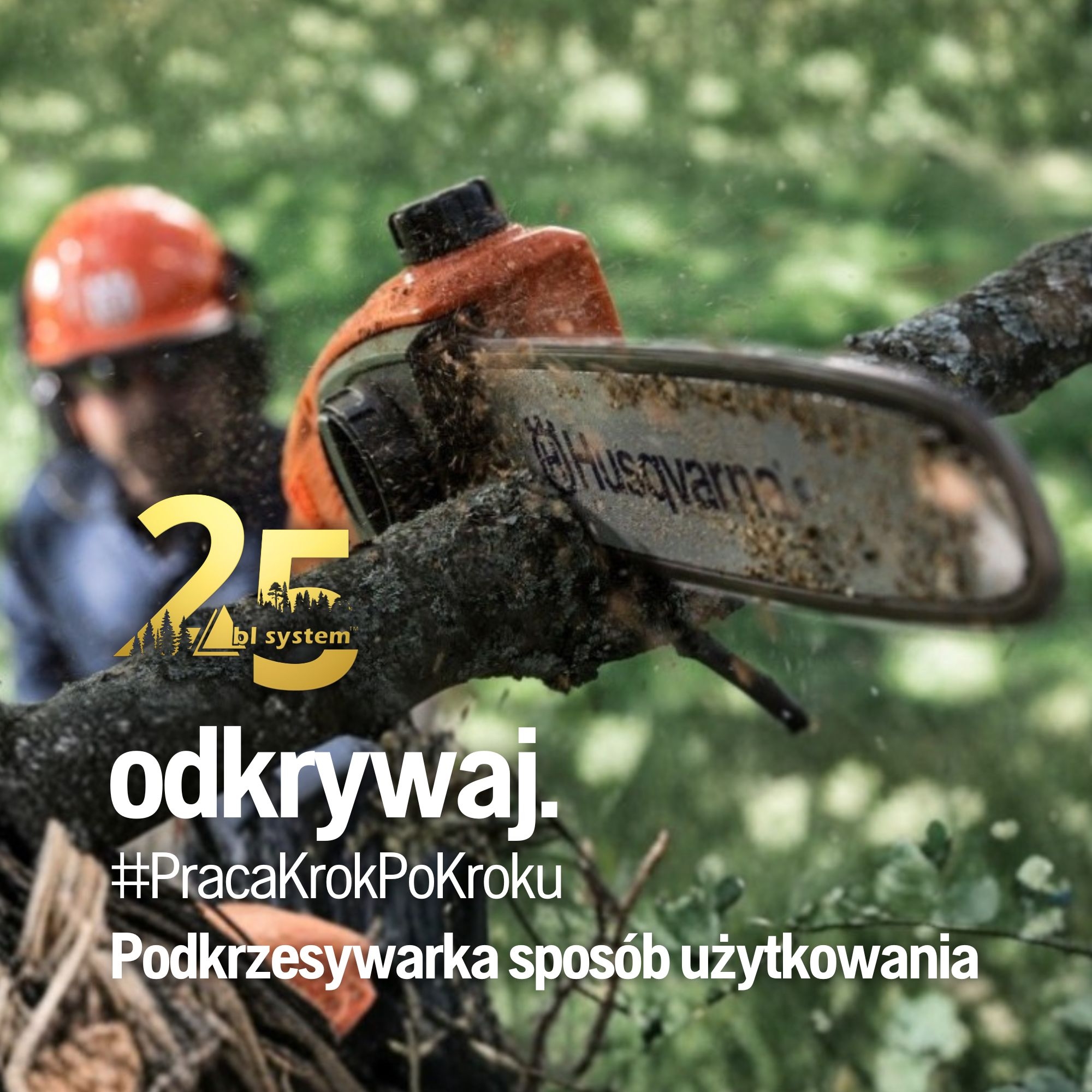 Podkrzesywarka – sposób użytkowania krok po kroku