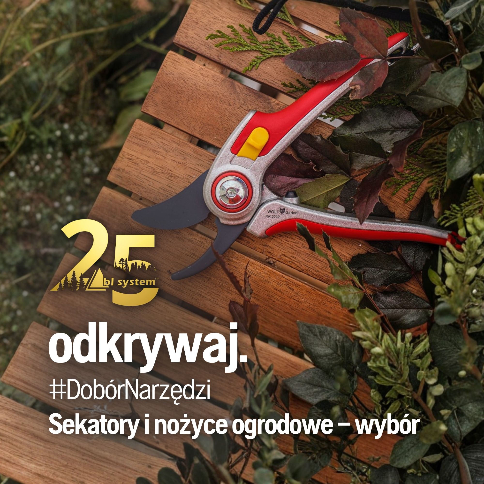 Sekatory i nożyce ogrodowe – jak wybrać?