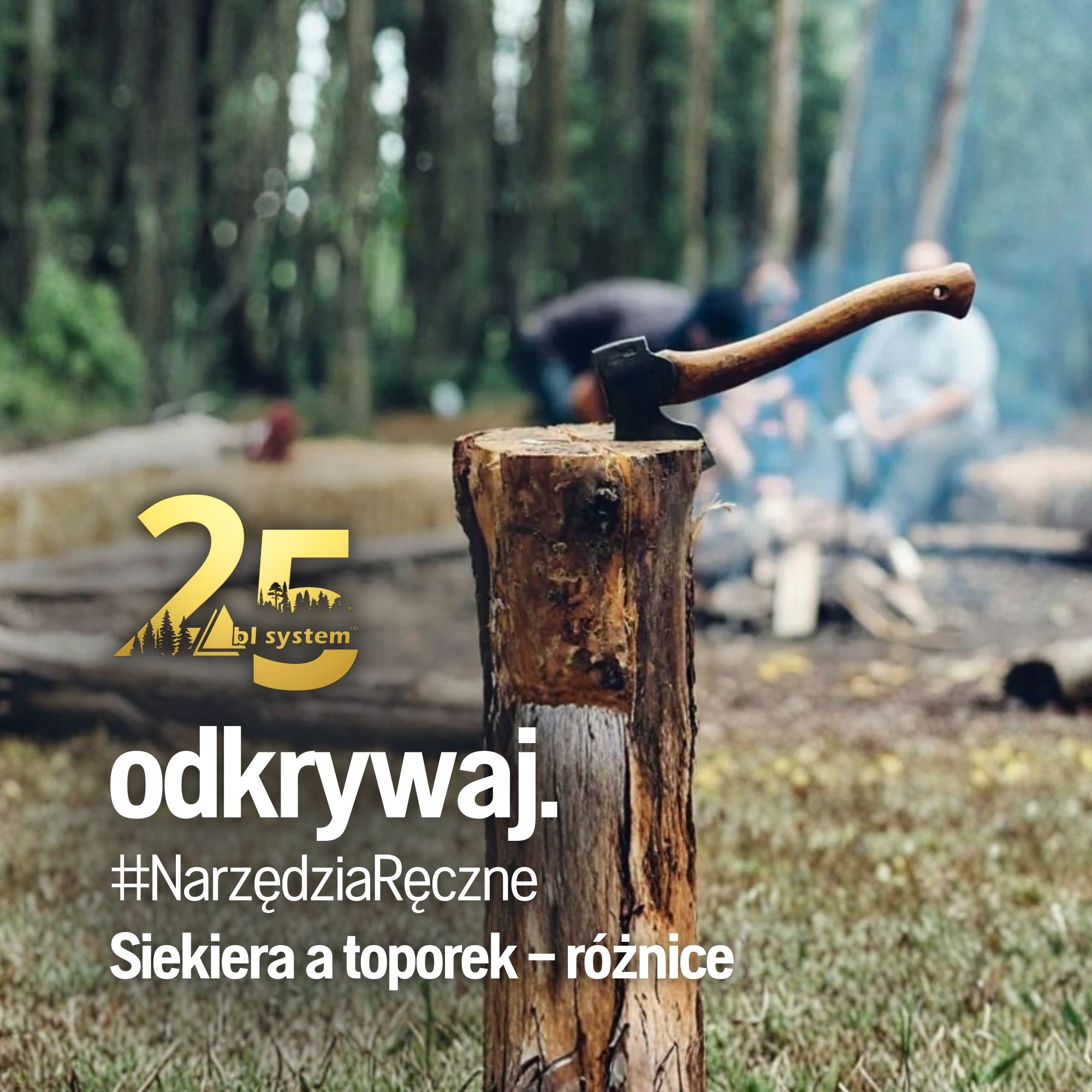 Siekiera a toporek – czy jest jakaś różnica?