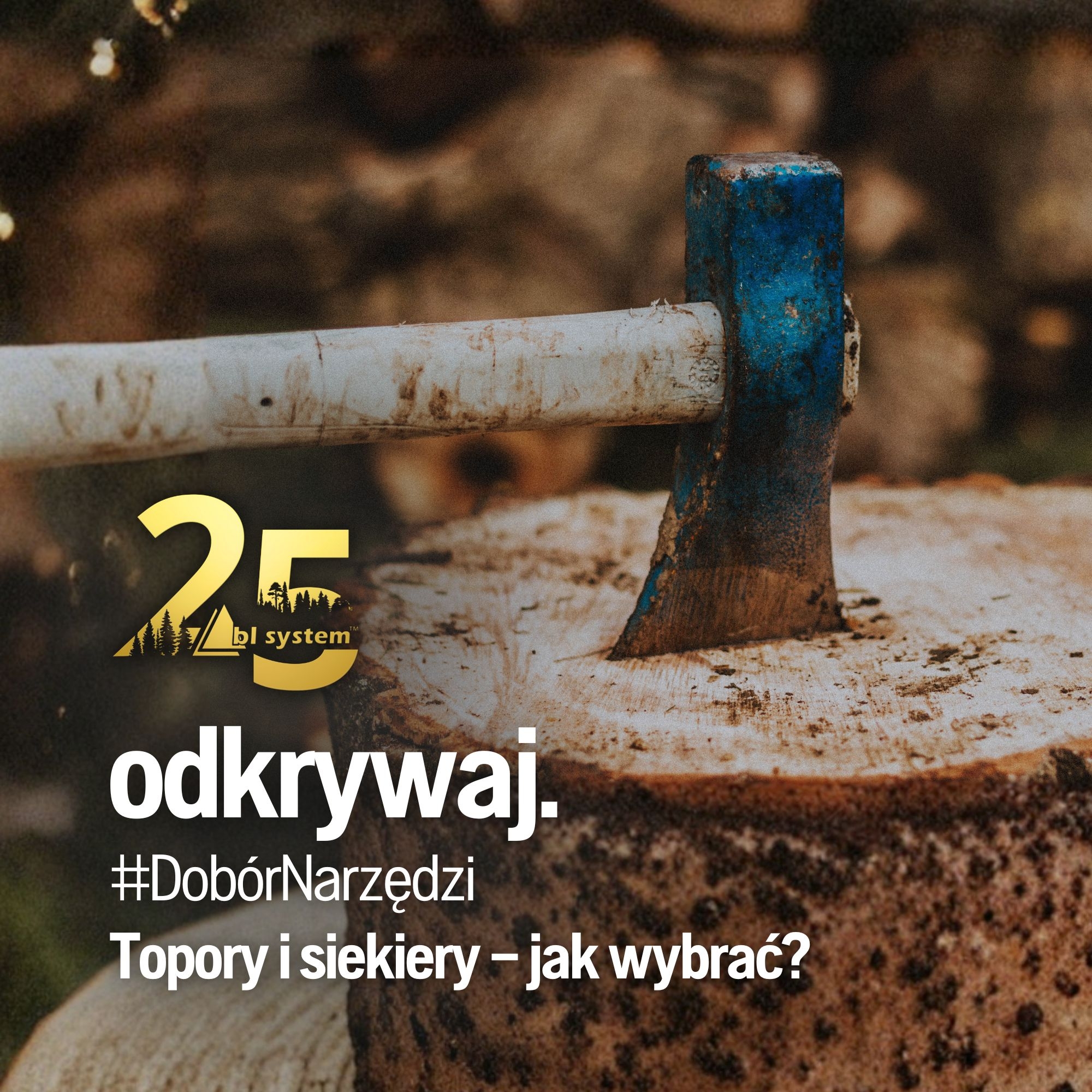 Topory i siekiery – jak wybrać?