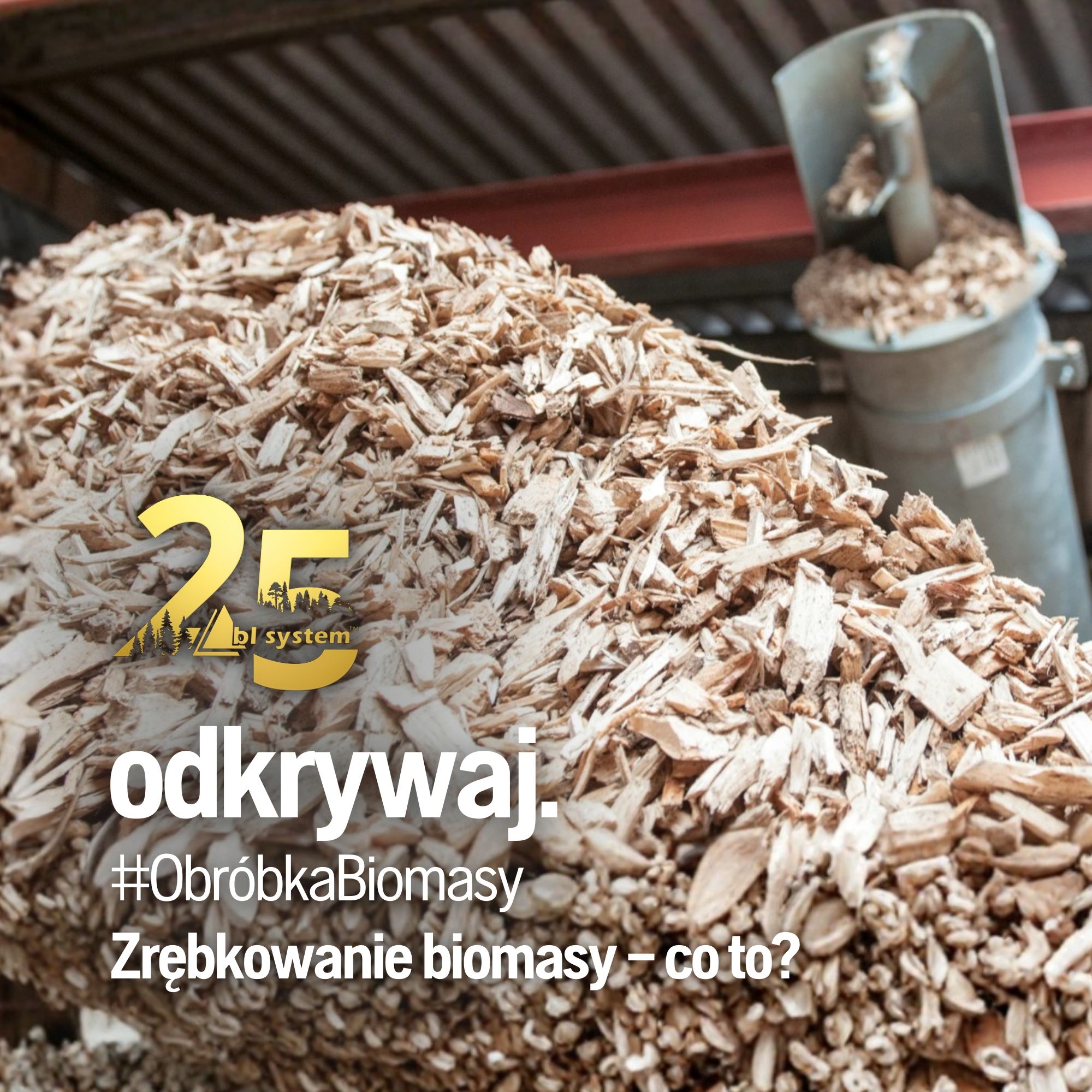 Zrębkowanie biomasy – co to jest i po co się je robi?